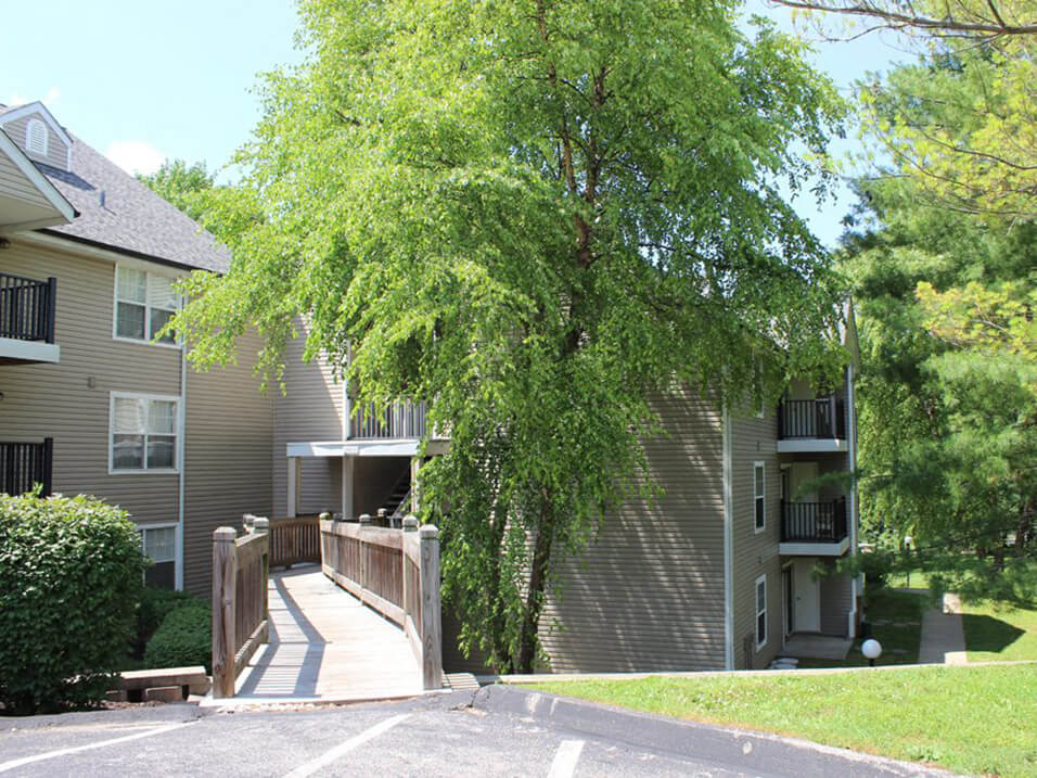 Shade Trees at apartment complex