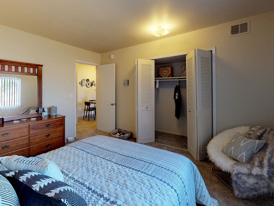 Closet at Castle Pointe apartment