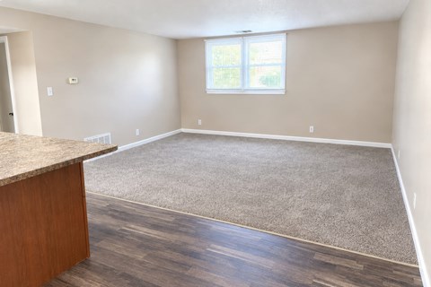 The transition between a living room with carpet and a kitchen/dining area with vinyl plank floors.