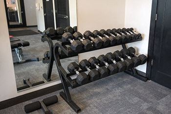 free weights at arcadia grove apartments
