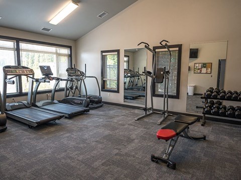 a gym with treadmills and other exercise equipment