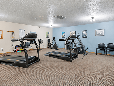 A gym with treadmills and exercise equipment.