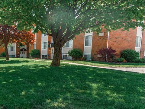a tree in front of an apartment building