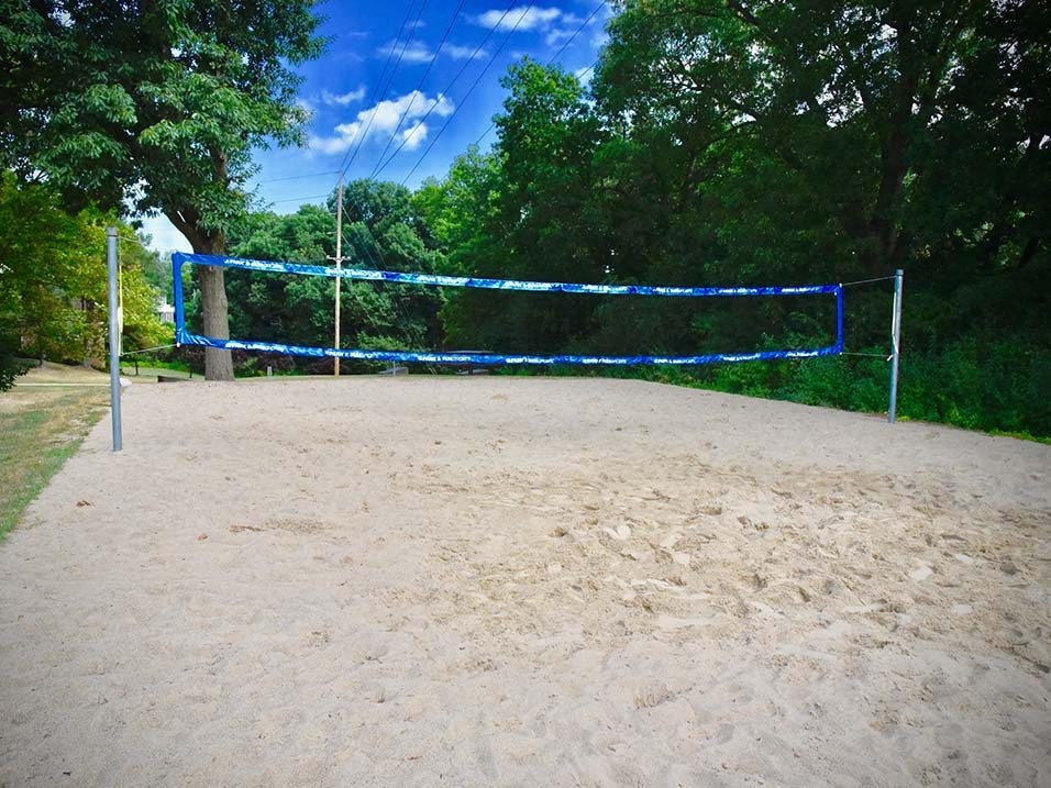a volleyball court in a park with trees