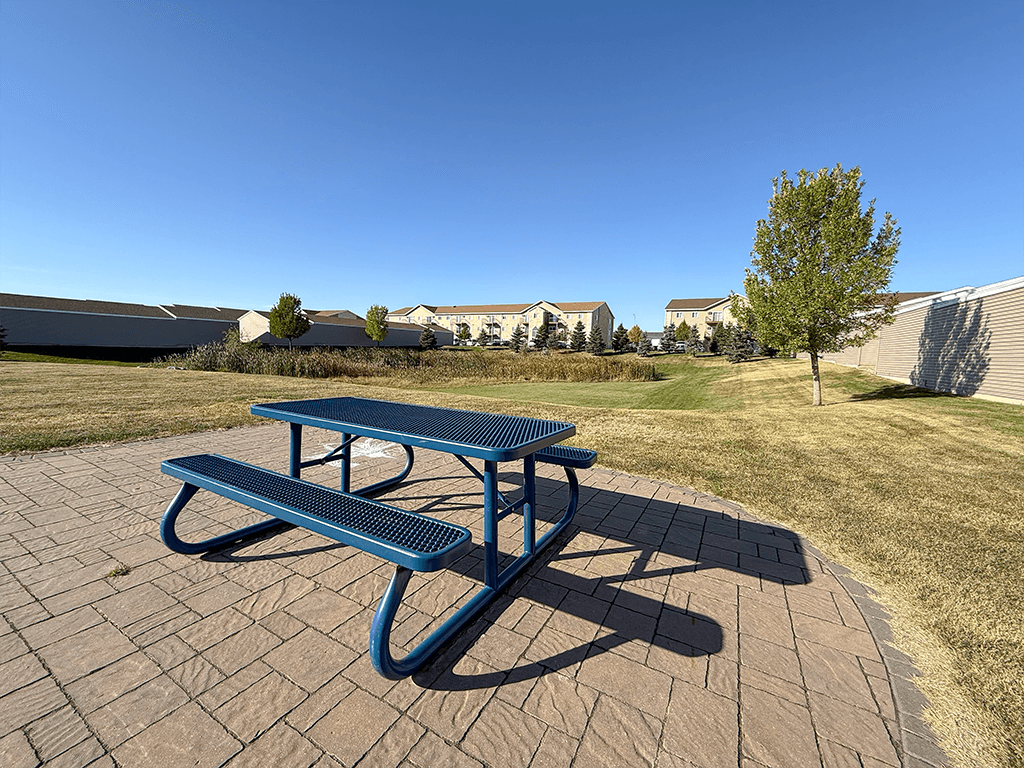 A blue picnic table is in the foreground of a grassy area.