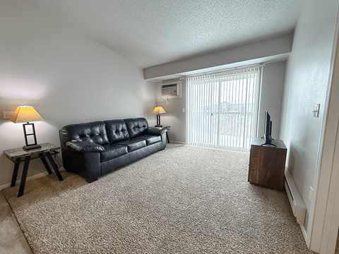 A black leather couch sits in a living room with a carpeted floor and a window with blinds.