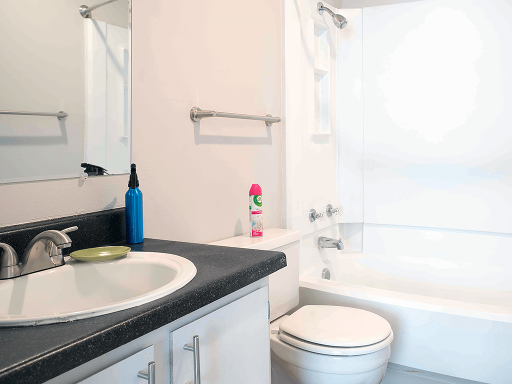 a bathroom with a sink and a toilet and a shower