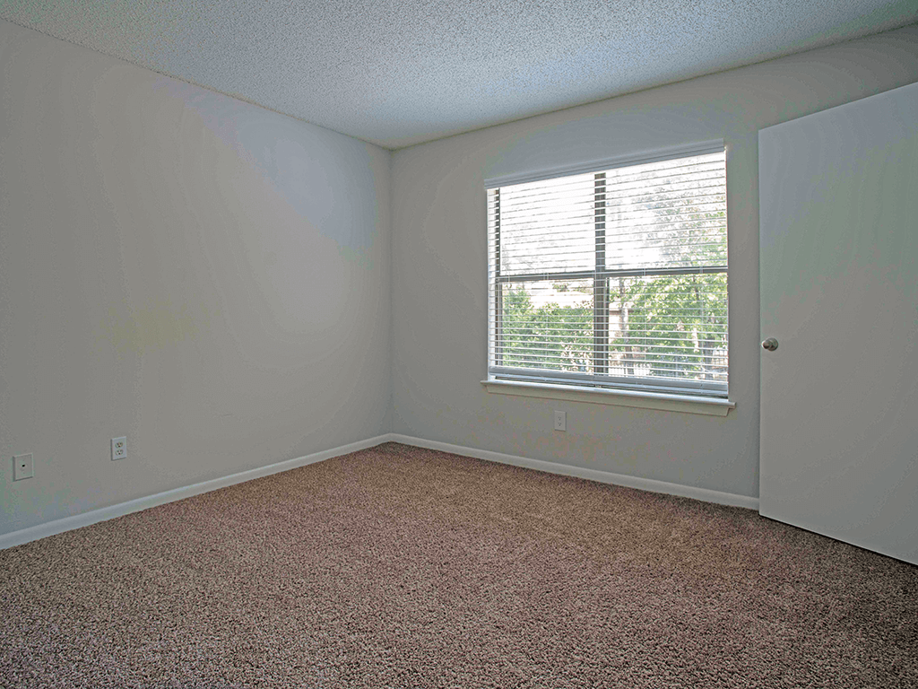 an empty bedroom with a window and carpet
