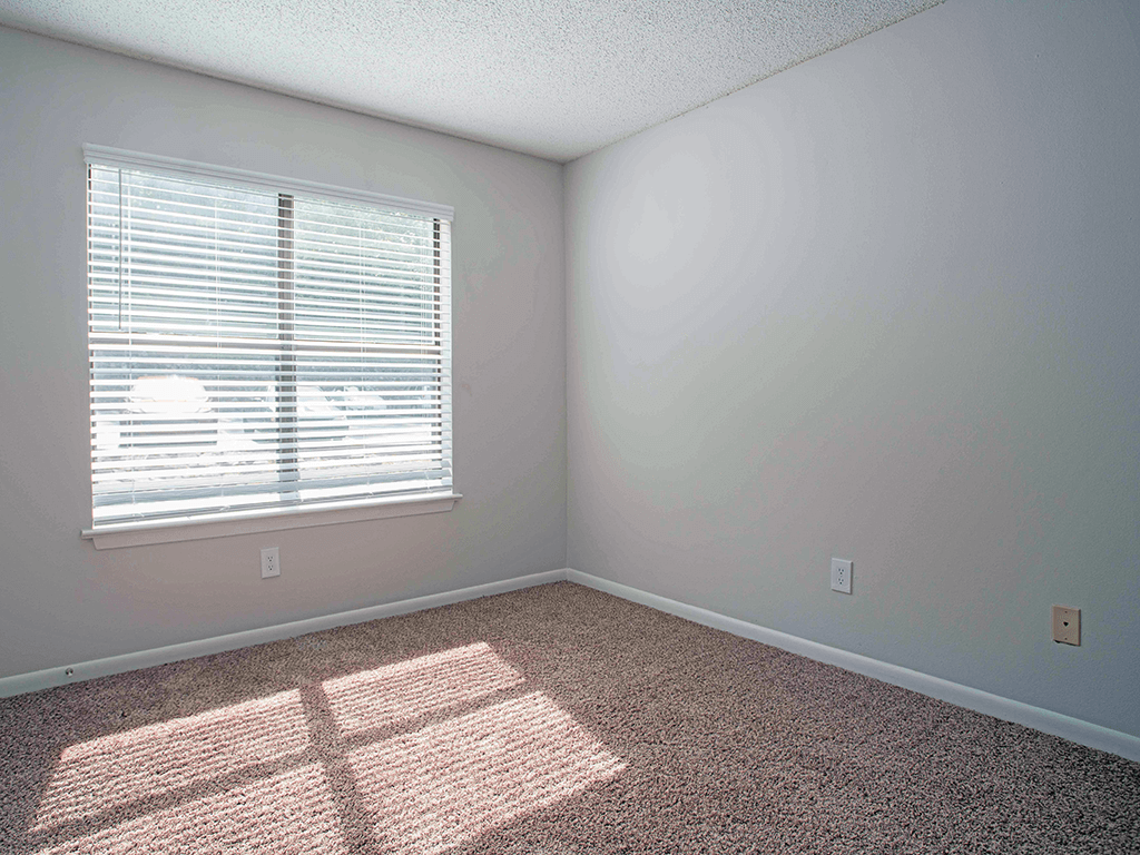 an empty room with a window and a carpet