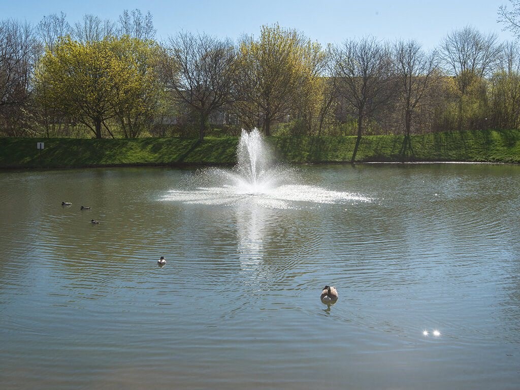 a fountain in the middle of a lake with ducks