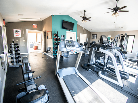 A gym with treadmills, weights, and exercise equipment.