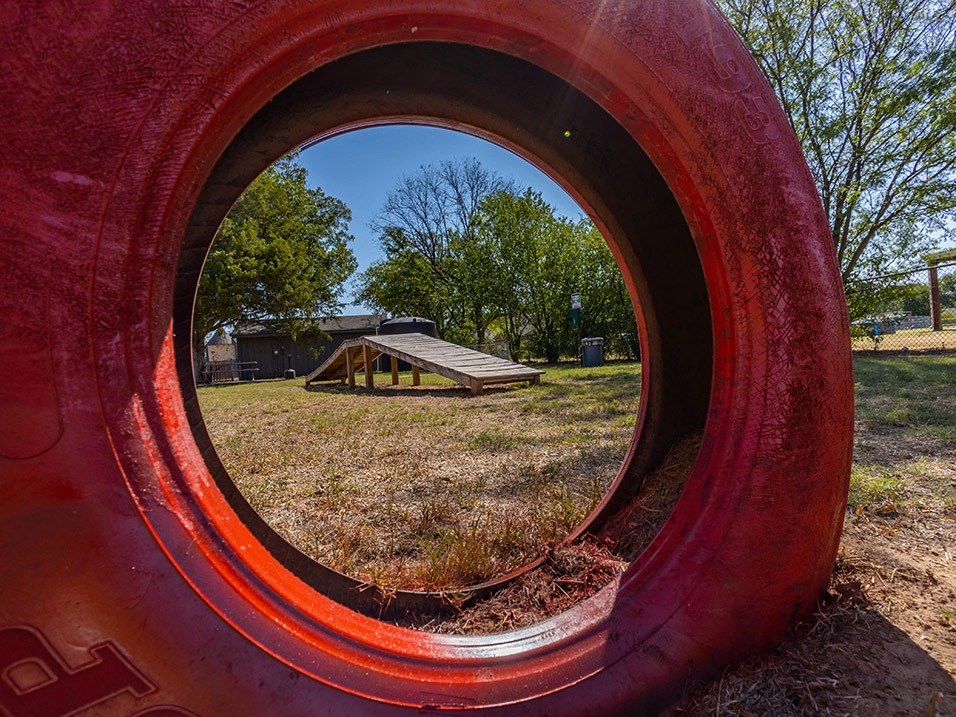 apartment dog park at Camelot Apartments