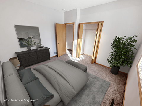 A living room with a grey couch and a plant.