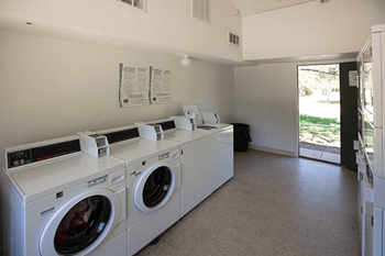 A row of white front load washing machines in a laundry room.