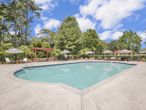A large outdoor swimming pool surrounded by trees and lounge chairs.