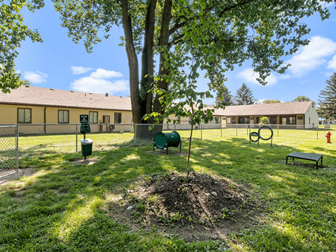 a dog park with a tree at apartment community