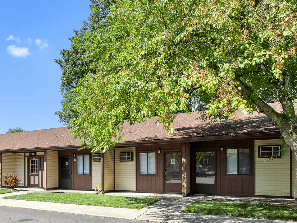 a yellow and brown building with a tree in front of it