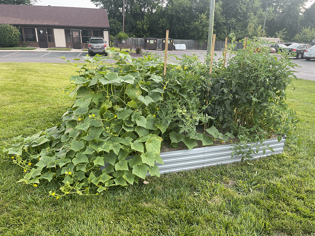 community garden with beds of plants at apartment building