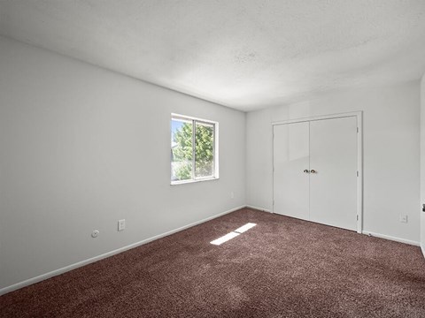 Bedroom with Large Closet