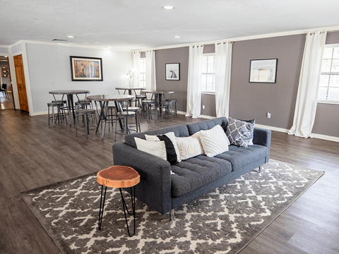 A living room with a grey couch and a rug.