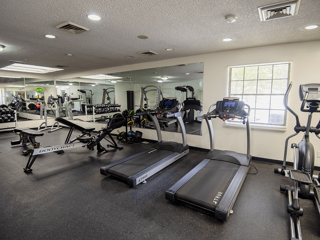 A gym with treadmills, elliptical machines, and other exercise equipment.