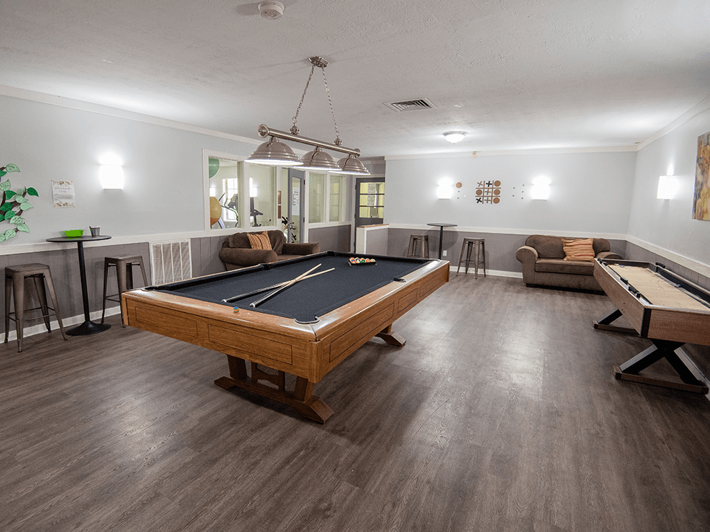 Clubhouse with a billiard table.