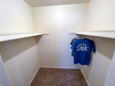 Bedroom Walk-In Closet in Apartment
