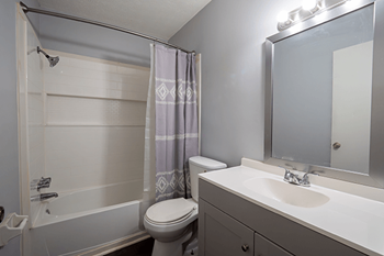 A bathroom with a toilet, sink, and shower.