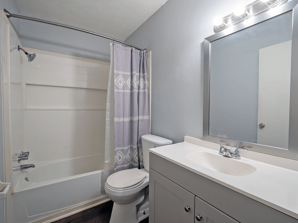 a bathroom with a shower toilet and sink