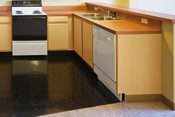 apartment with dishwasher amenity