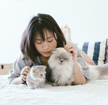 pet friendly Northridge Crossing