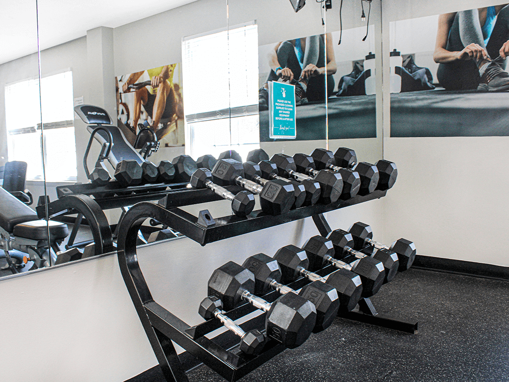 A gym with a bench full of black dumbbells.