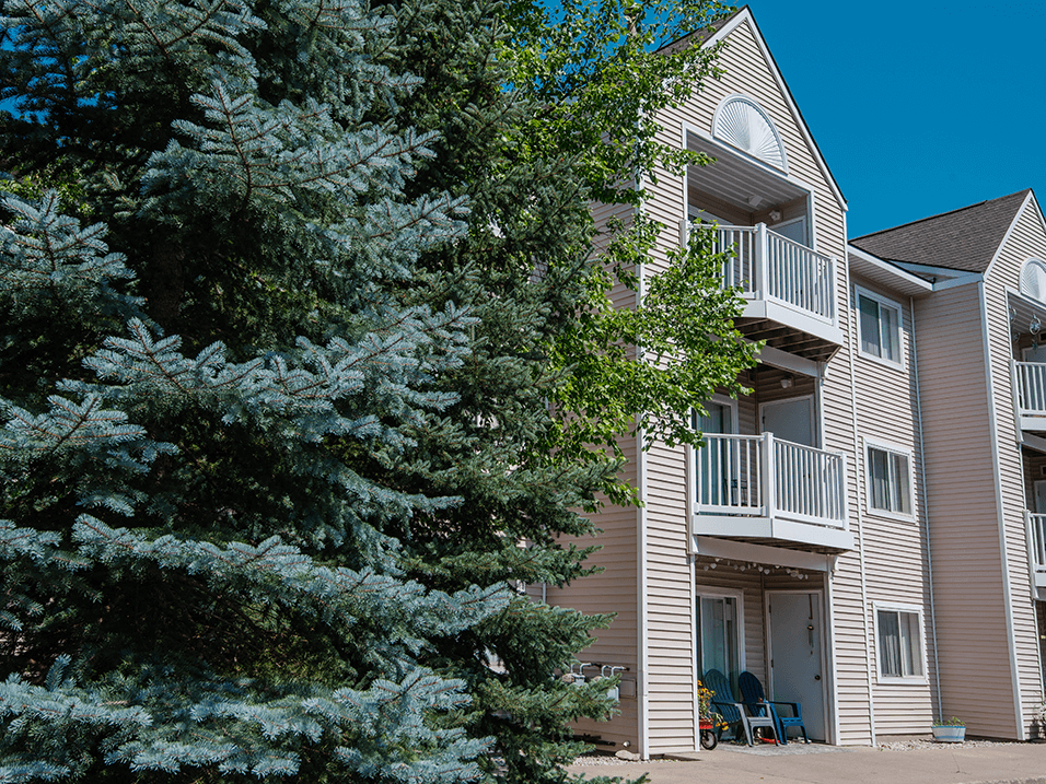 an apartment building with a large tree in front of it