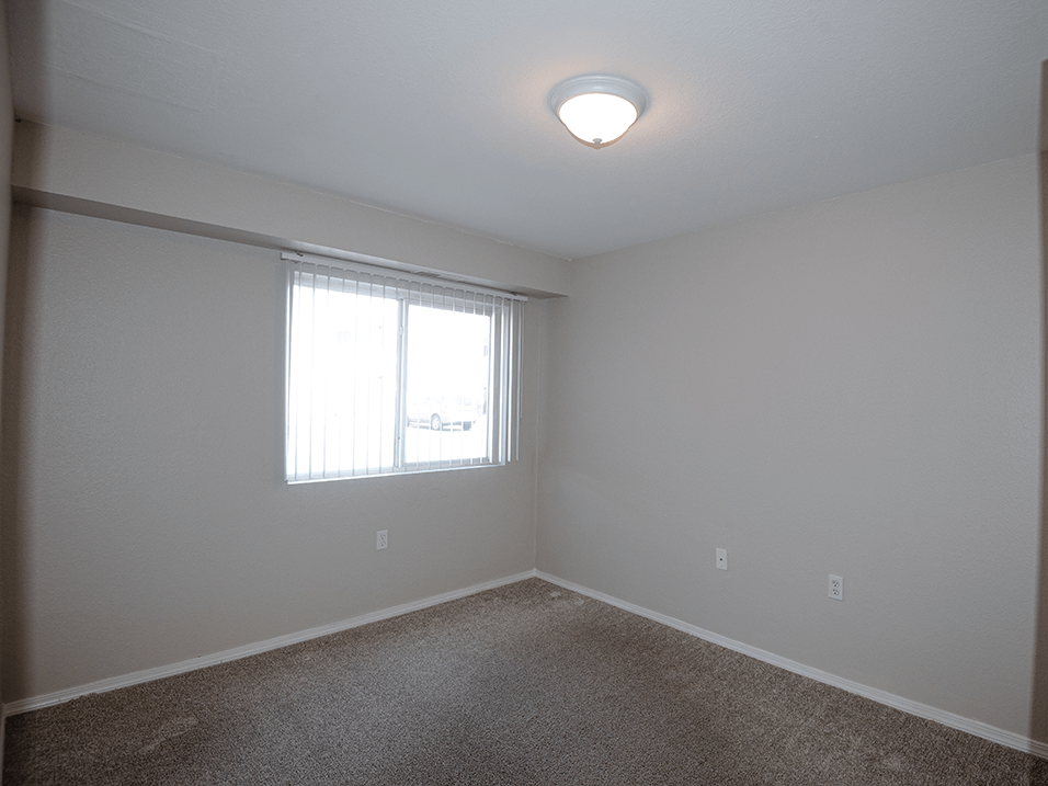 a bedroom with a window and carpet