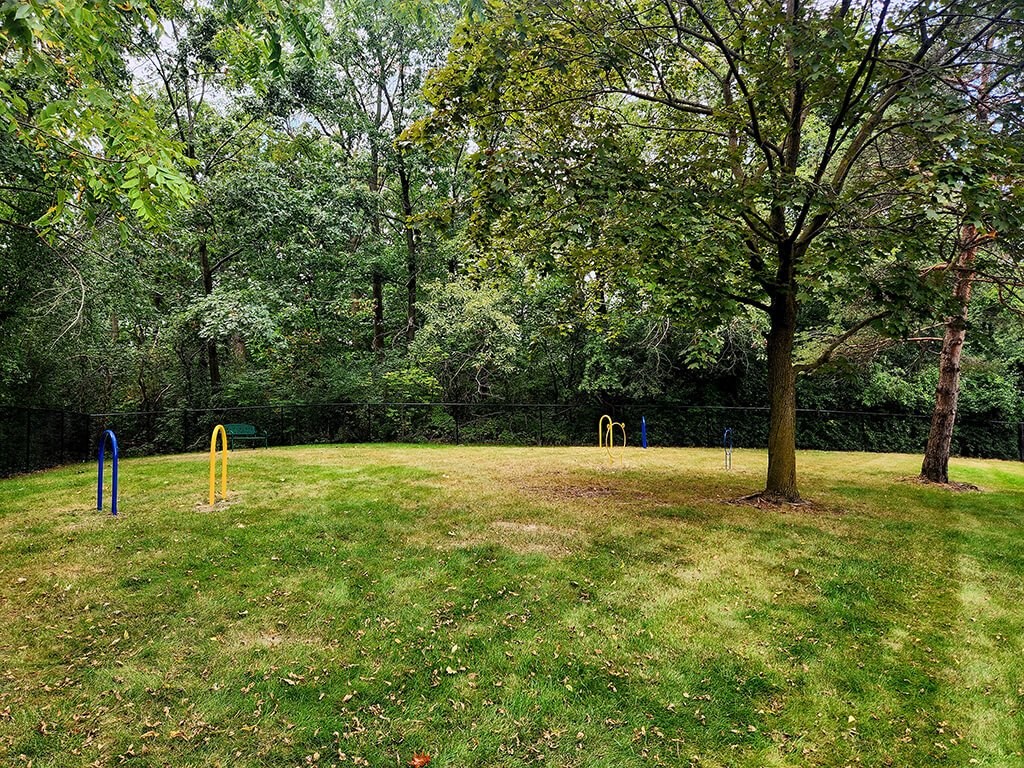 a park with a playground and a tree