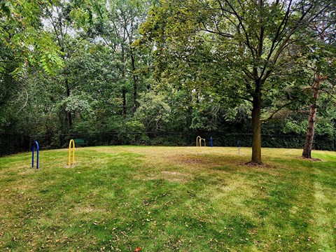 a park with a playground and a tree