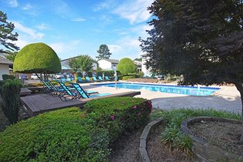 a swimming pool with chaise lounge chairs and trees