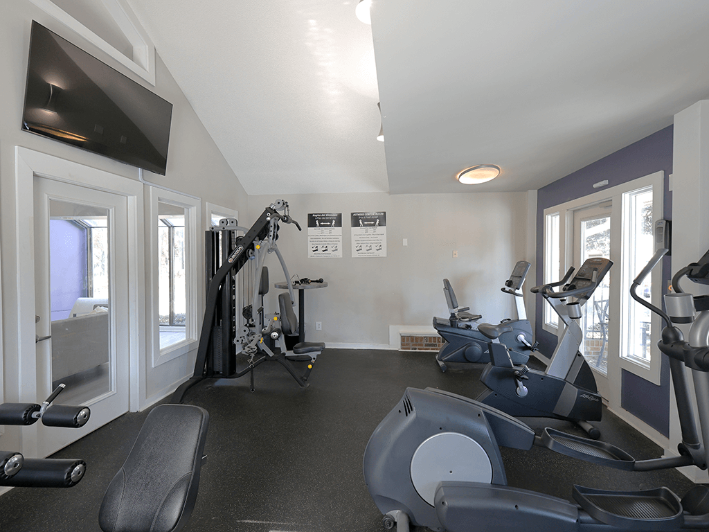 A spacious home gym with a variety of exercise equipment.