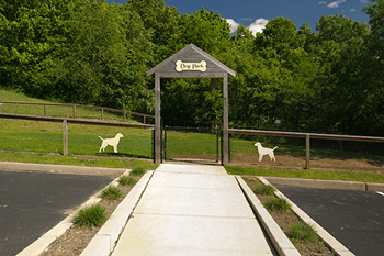 Two Dog Parks