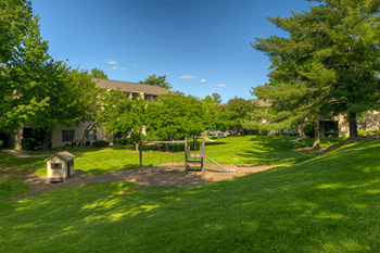 a backyard with a playground and trees and a house in the background