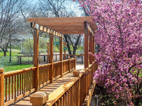 wooden bridge with a flowering tree at apartment community