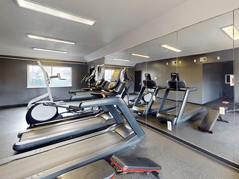 A gym with treadmills, elliptical machines, and other exercise equipment.