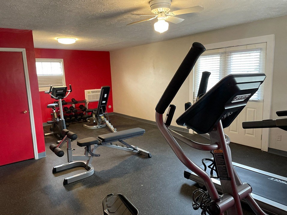 our gym has a lot of equipment for everyone to use