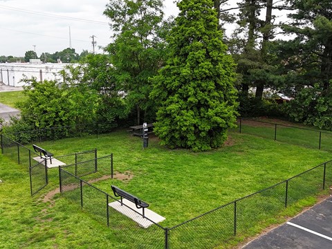 A park with a black fence and a bench.