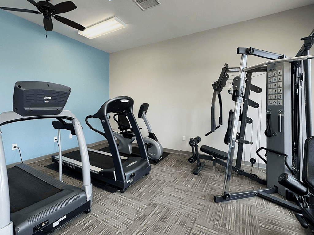 A gym with treadmills, elliptical machines, and weight machines.