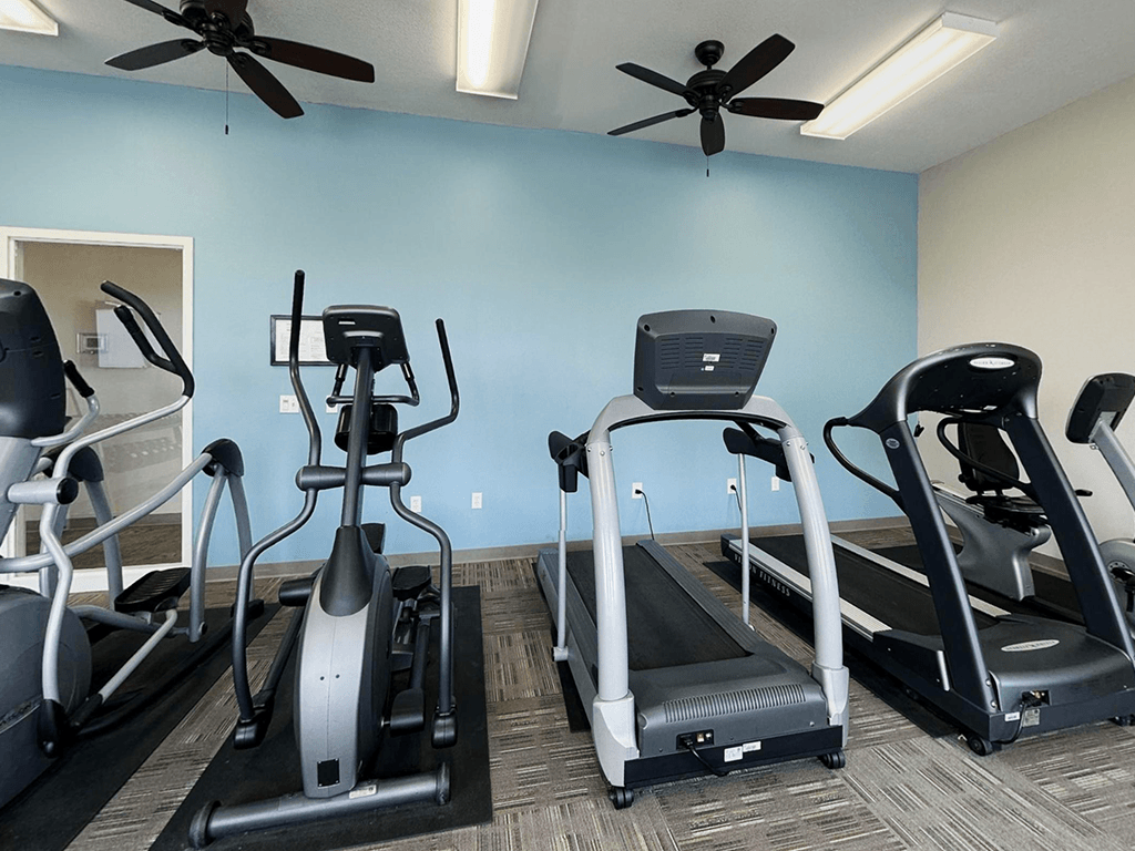 A gym with treadmills and elliptical machines.