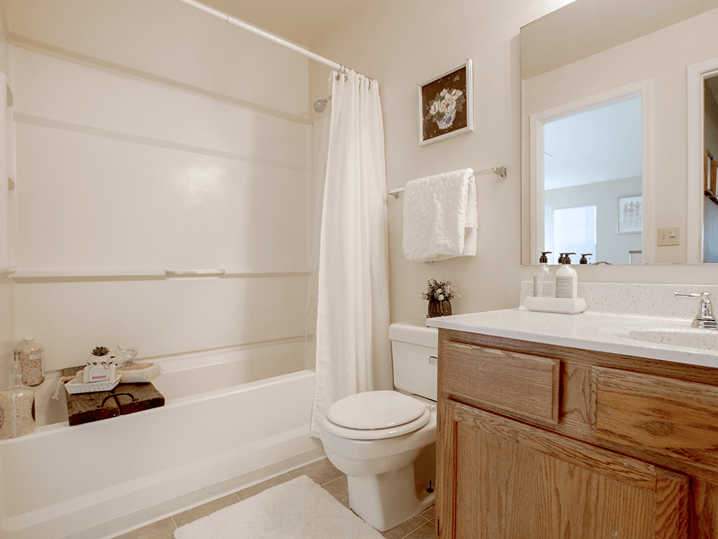 bathroom with a sink, toilet, and shower