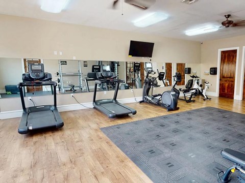 A gym with treadmills, elliptical machines, and a television.