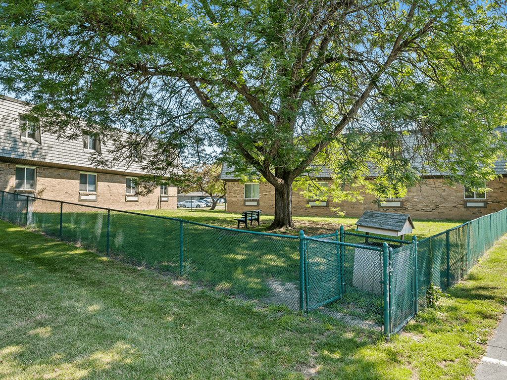 A tree in a yard behind a green fence.