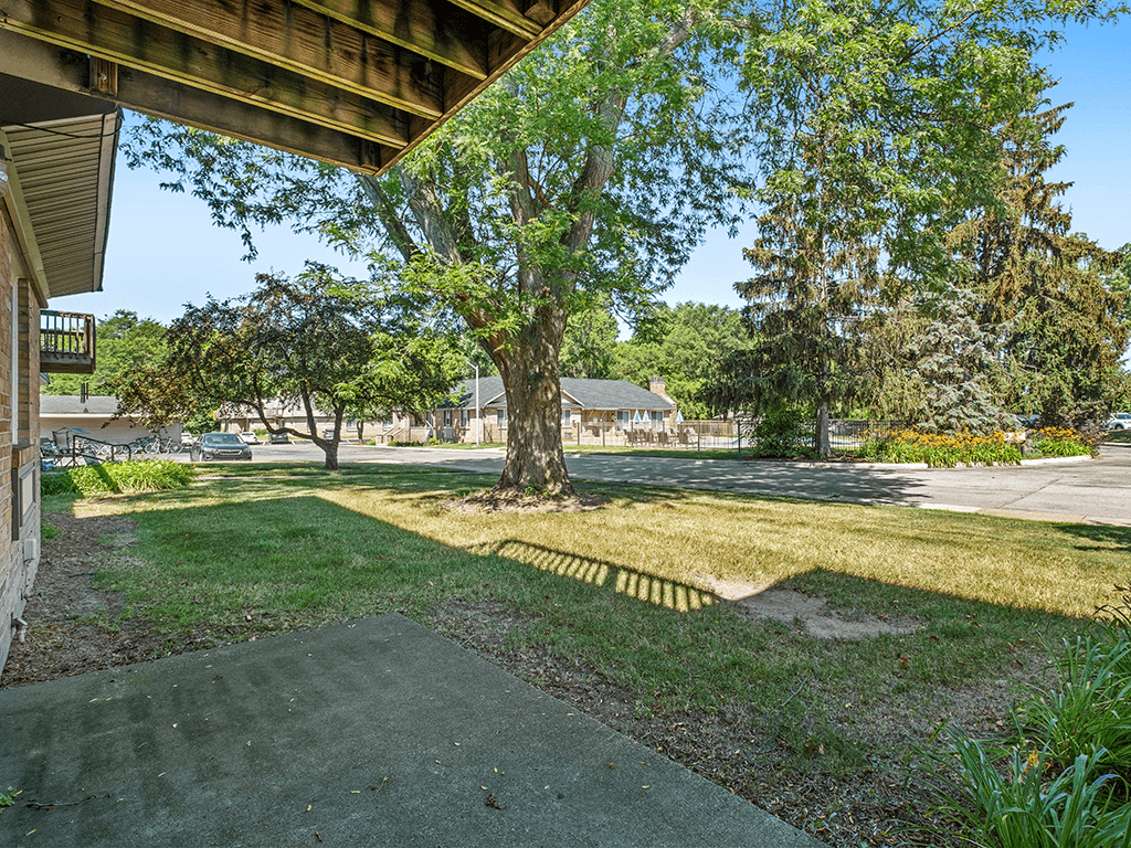 A tree-lined yard with a concrete walkway.